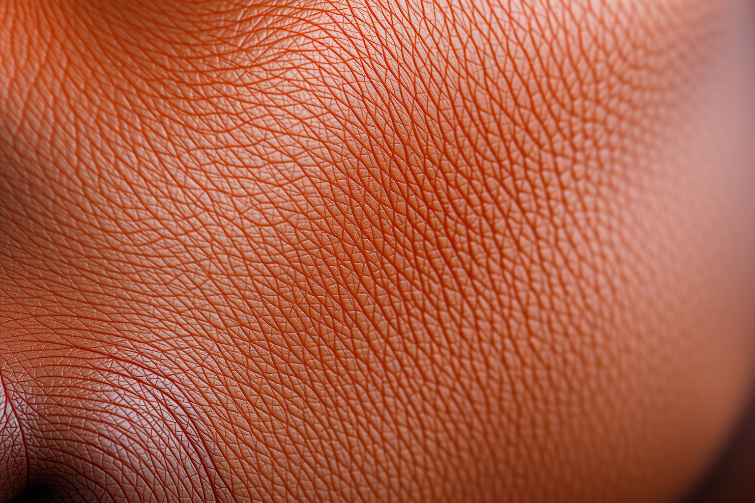 A szelén hatékonyan szabályozza a bőr melanin termelését.