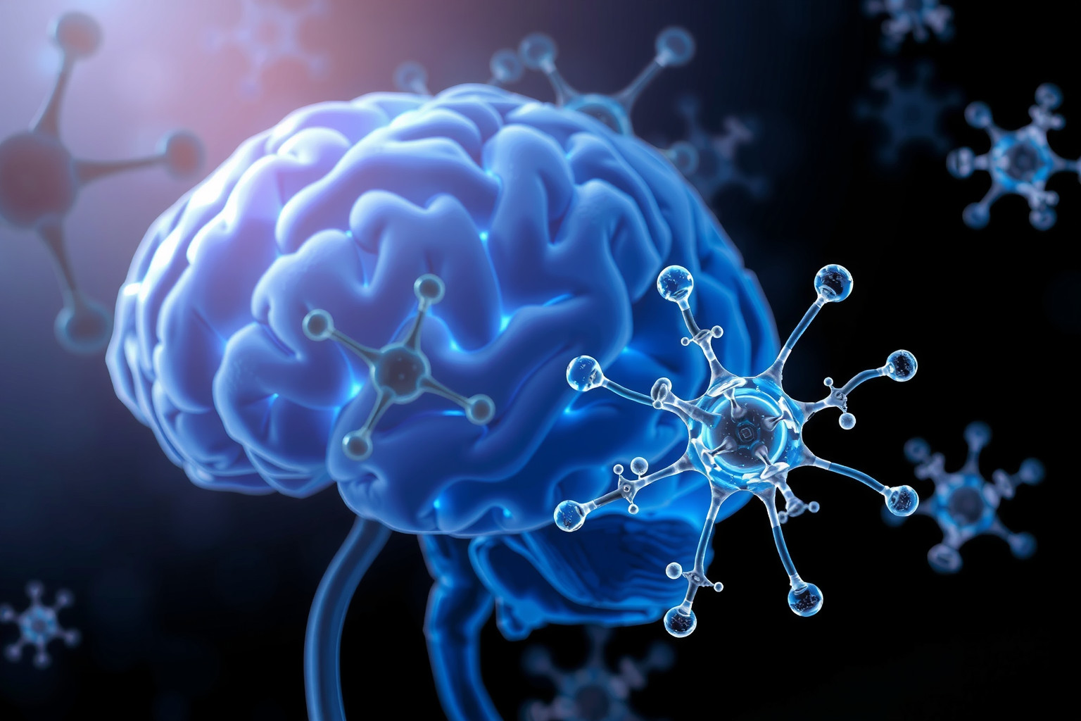 Az erukasav neuroprotektív hatásai hozzájárulhatnak az agy egészségéhez.