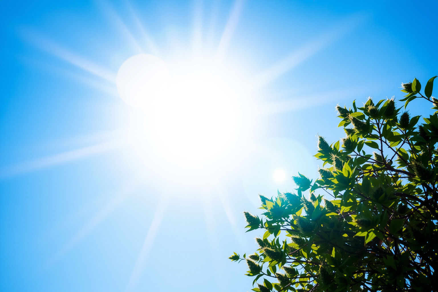 A nap természetes kék fénye szabályozza a cirkadián ritmust.