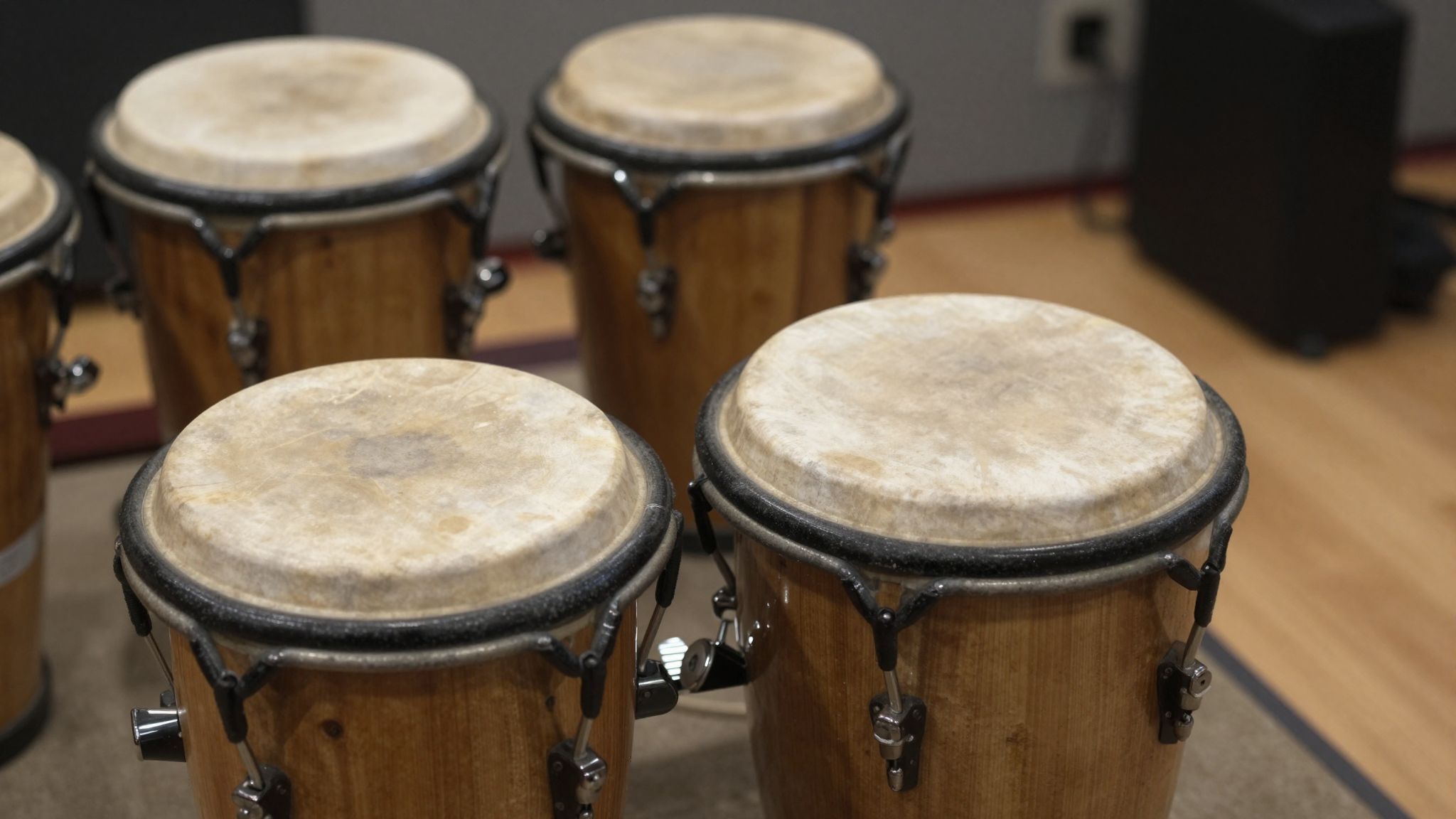 A bongó magas frekvenciájú hangok dominálnak az ütőhangszerek között.