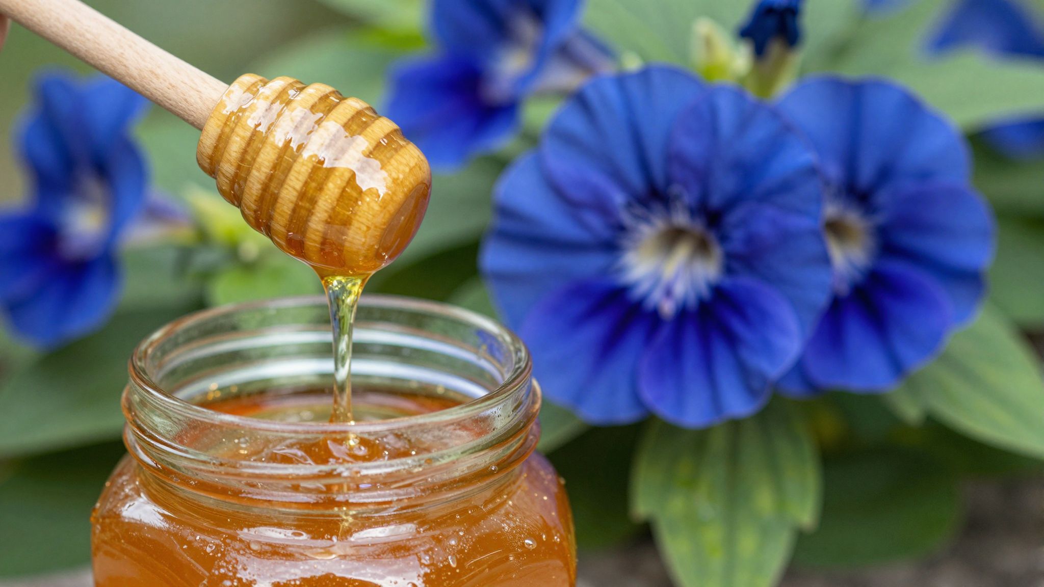 A facéliaméz ásványi anyagokban és antioxidánsokban gazdag.