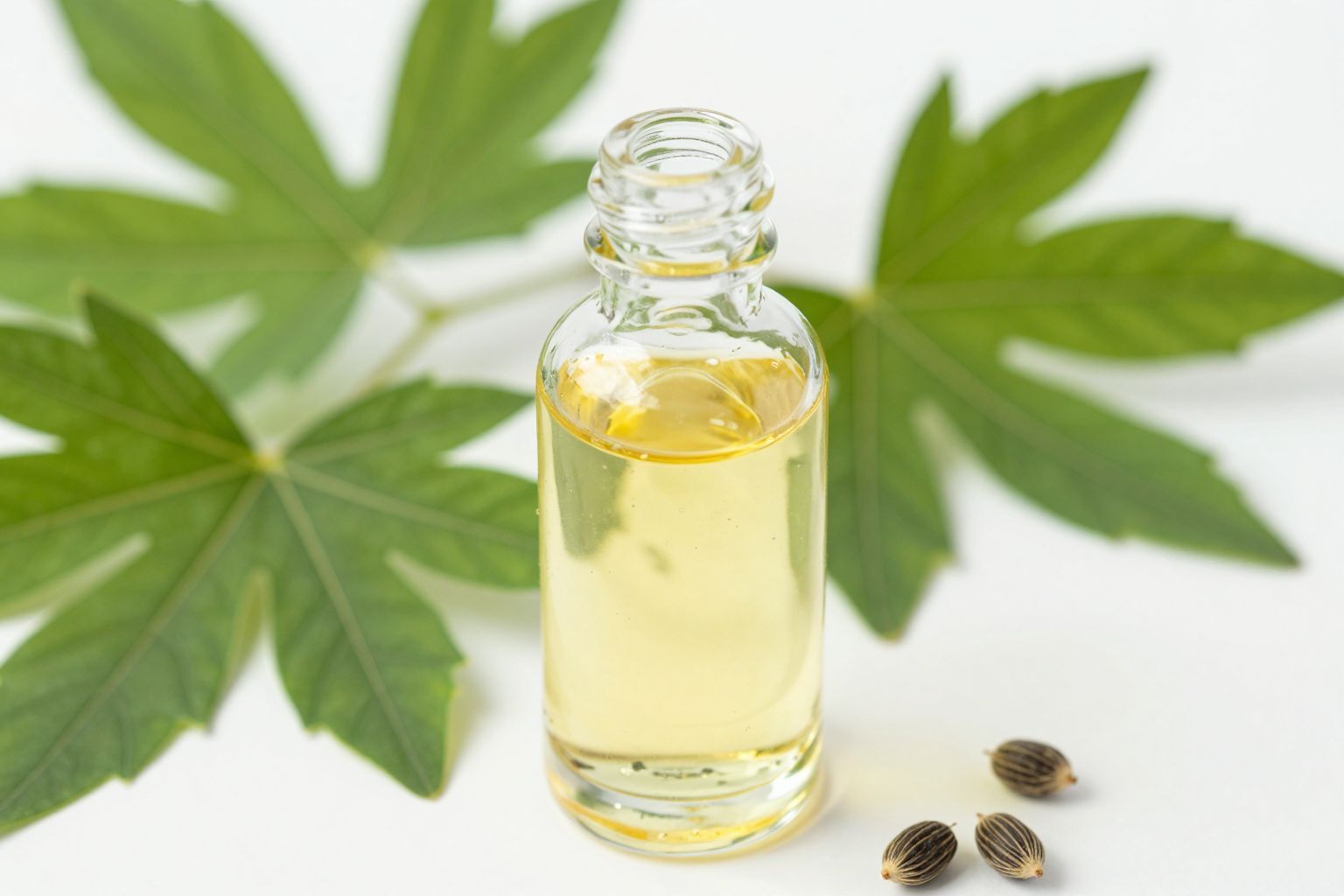 A ricinusolaj serkenti a haj növekedését és erősíti azt.