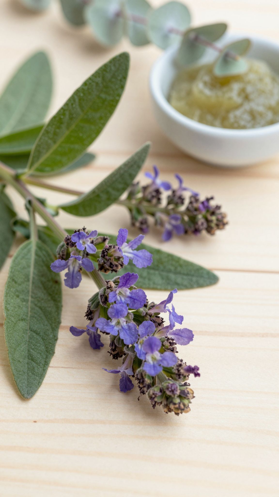 A vasfű hatóanyagai gyorsítják a sebgyógyulást és csökkentik a gyulladást.