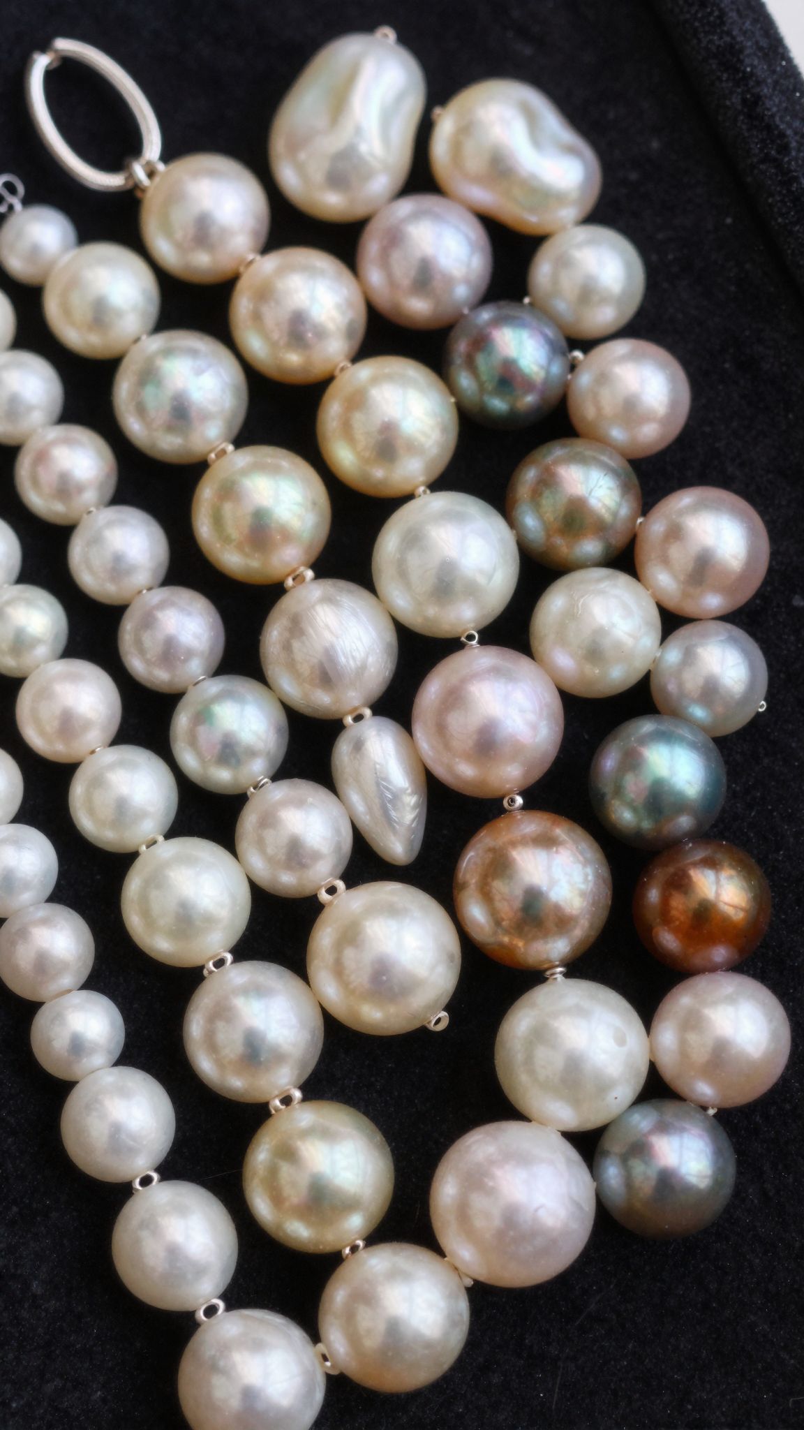 A gyöngyök formája és színe a fajtól függően változik.